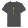 Rocker the essential unisex t-shirt (STTU758) Thumbnail